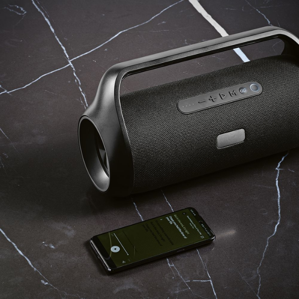 Newton Speaker 40w Power with 6000mAh Battery - Image 2