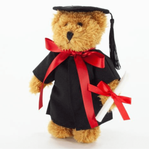 Graduation Teddy Bear
